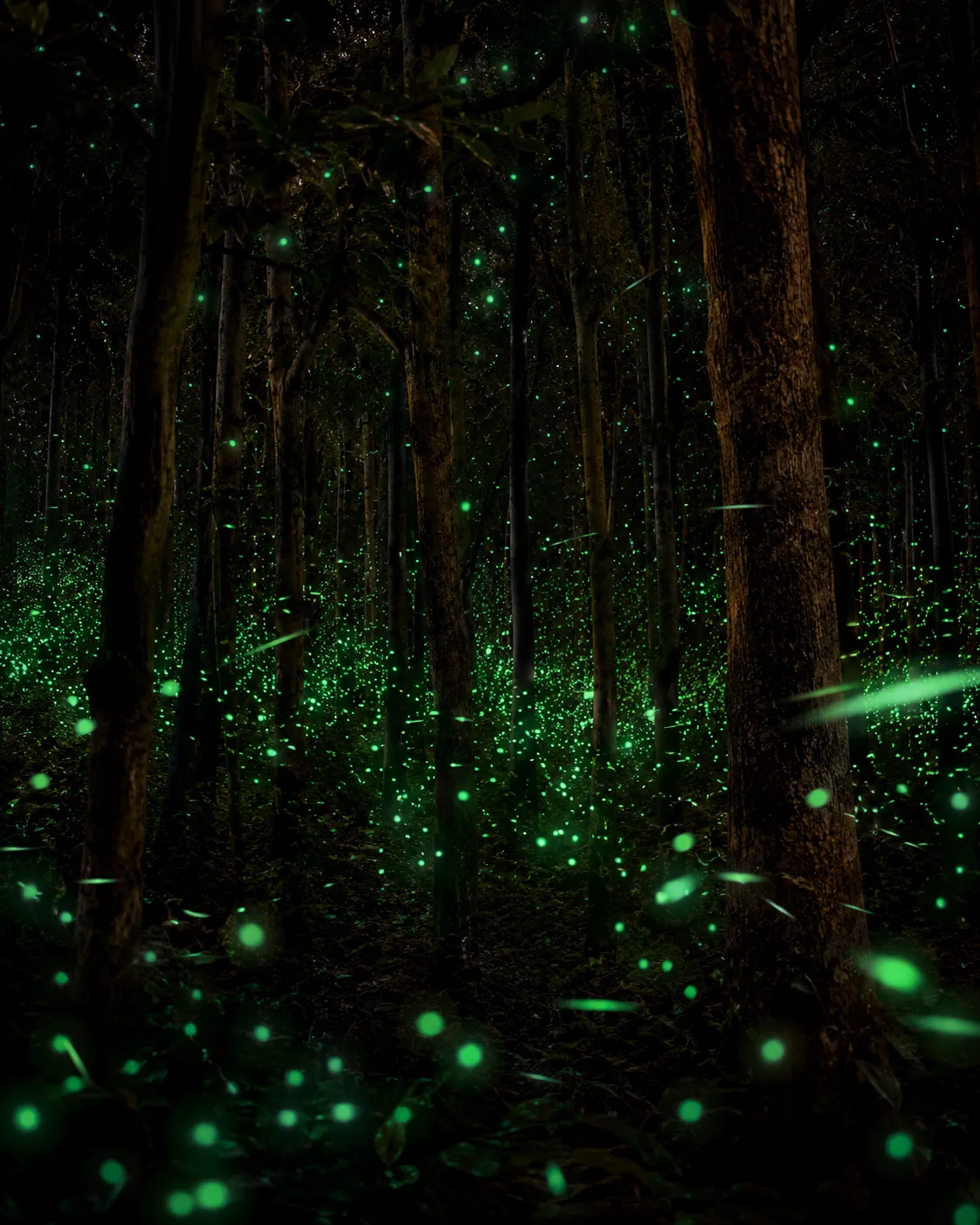 Fireflies scattered through a dark forest.