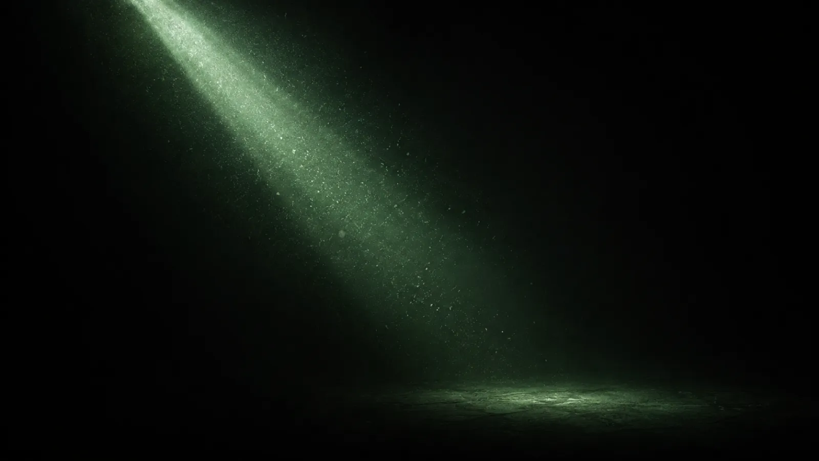 A single shaft of light in suspended dust.