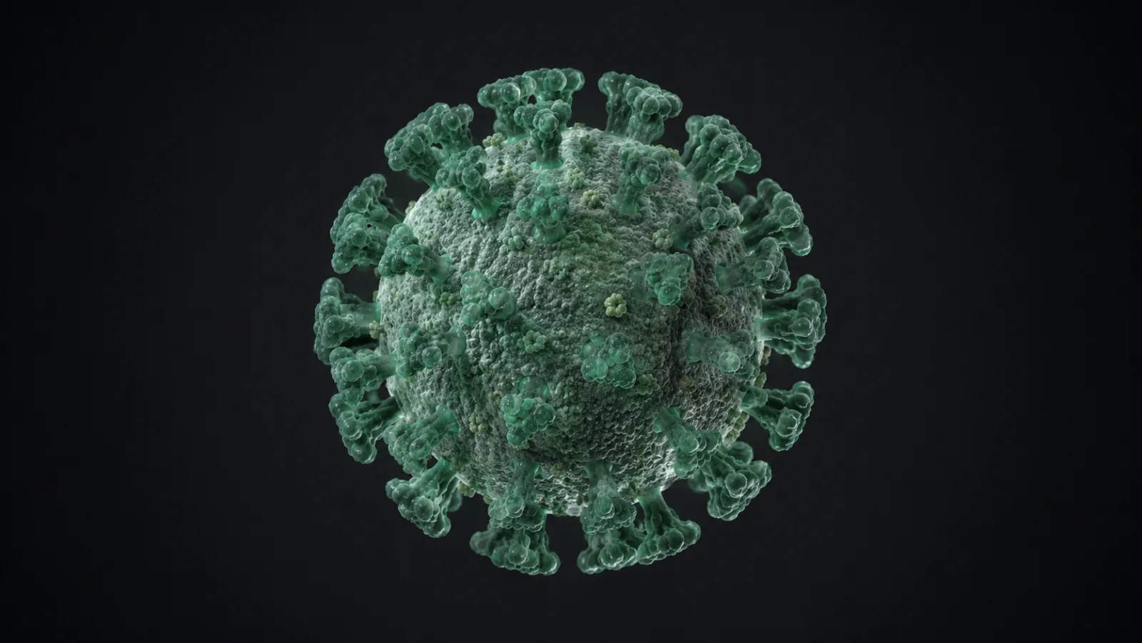 Virus
